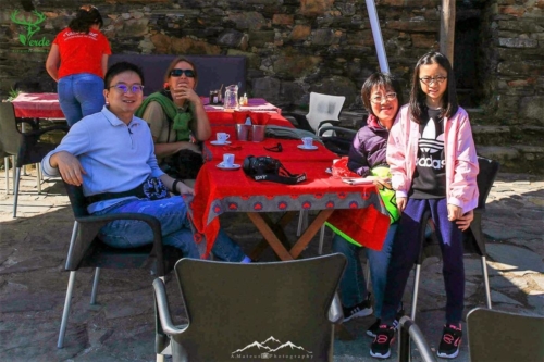 Veado Verde / Green Deer