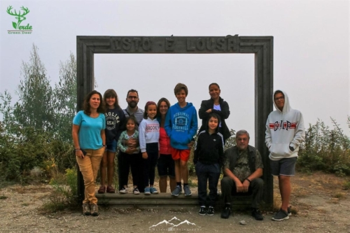 Veado Verde / Green Deer