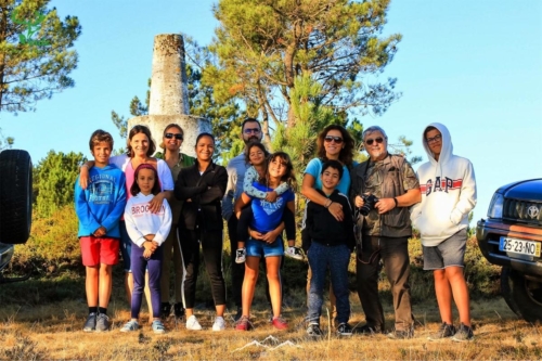 Veado Verde / Green Deer