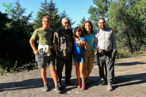 Veado Verde / Green Deer