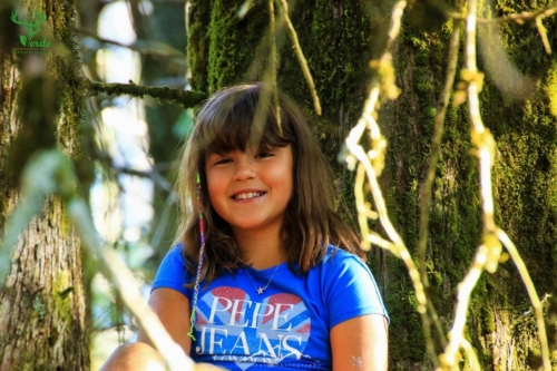 Veado Verde / Green Deer