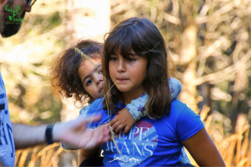 Veado Verde / Green Deer