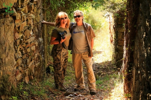 Veado Verde / Green Deer