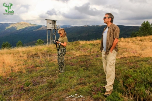 Veado Verde / Green Deer