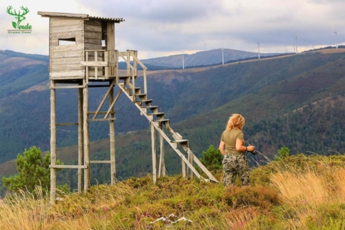 Veado Verde / Green Deer
