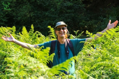 Veado Verde / Green Deer