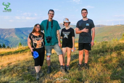 Veado Verde / Green Deer