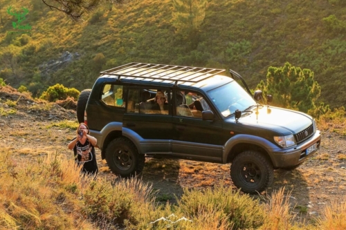 Veado Verde / Green Deer