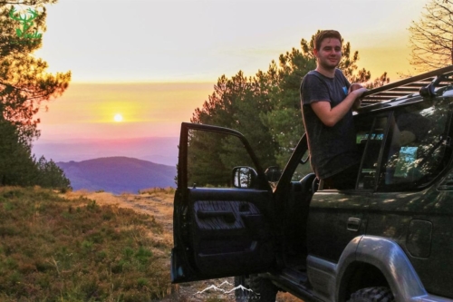 Veado Verde / Green Deer