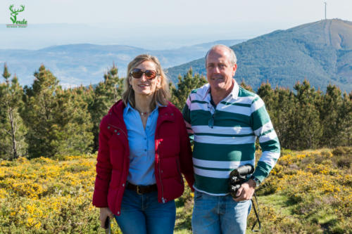 Veado Verde / Green Deer