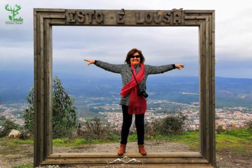 Veado Verde / Green Deer