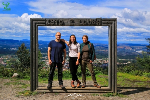 Veado Verde / Green Deer