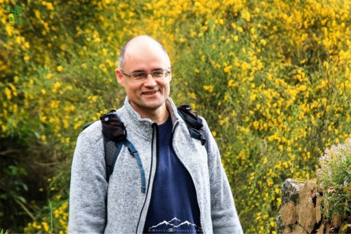 Veado Verde / Green Deer