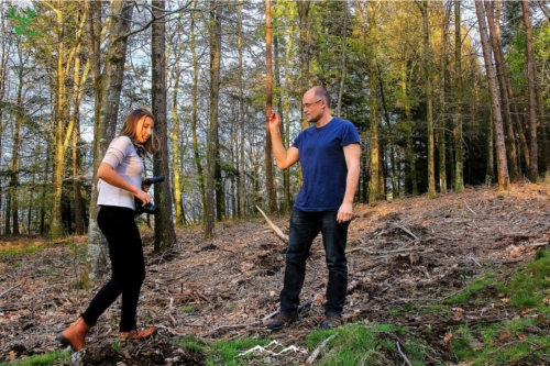 Veado Verde / Green Deer