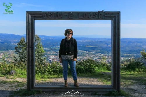 Veado Verde / Green Deer