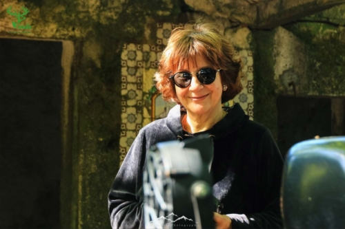 Veado Verde / Green Deer