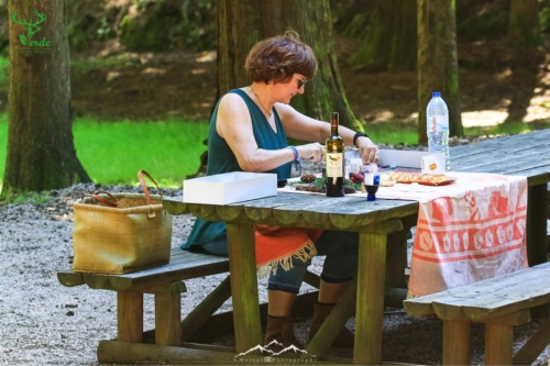 Veado Verde / Green Deer