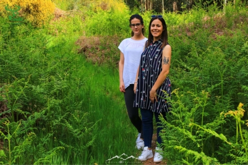 Veado Verde / Green Deer