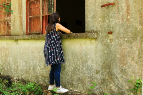 Veado Verde / Green Deer