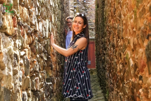 Veado Verde / Green Deer