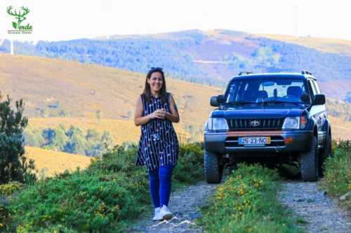 Veado Verde / Green Deer