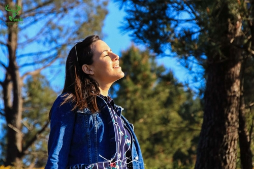 Veado Verde / Green Deer