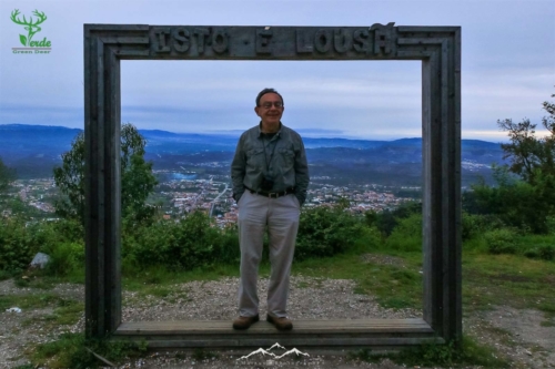 Veado Verde / Green Deer