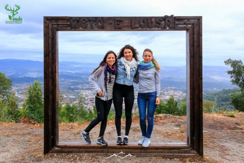 Veado Verde / Green Deer