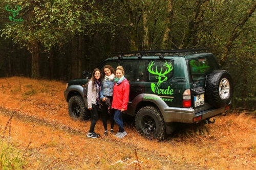 Veado Verde / Green Deer