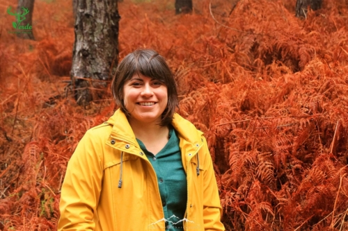 Veado Verde / Green Deer