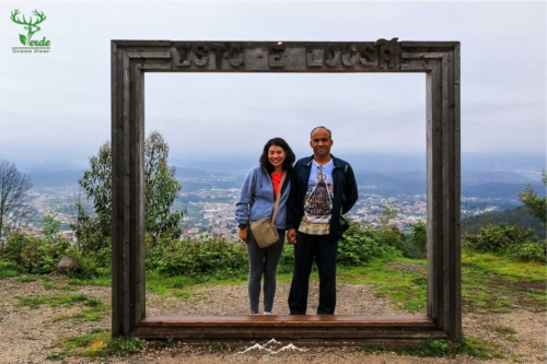 Veado Verde / Green Deer