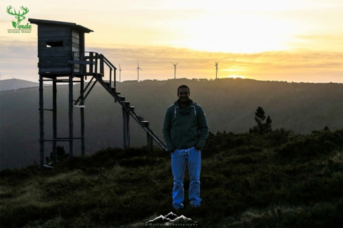 Veado Verde / Green Deer