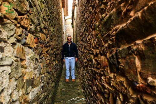 Veado Verde / Green Deer