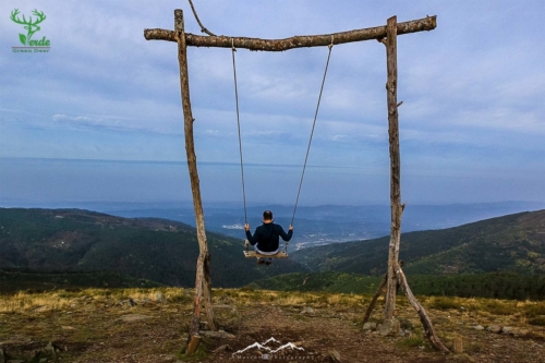 Veado Verde / Green Deer