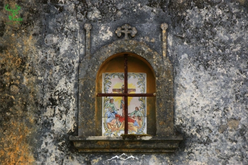 Veado Verde / Green Deer