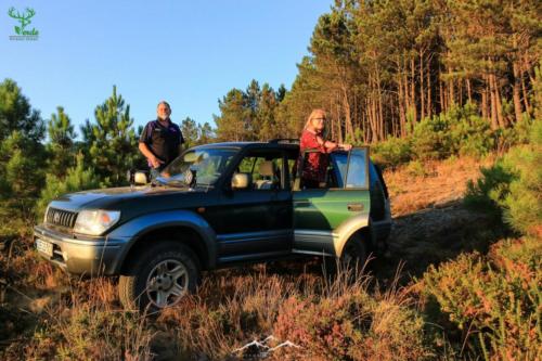 Veado Verde / Green Deer