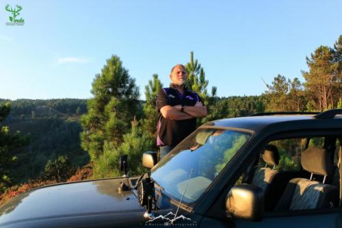 Veado Verde / Green Deer