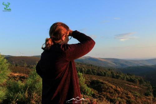 Veado Verde / Green Deer