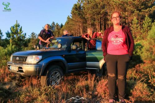 Veado Verde / Green Deer