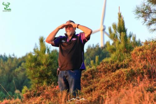 Veado Verde / Green Deer