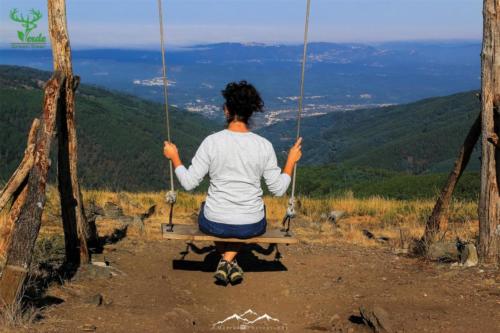 Veado Verde / Green Deer