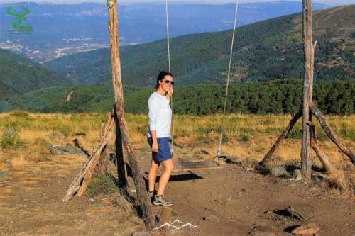 Veado Verde / Green Deer