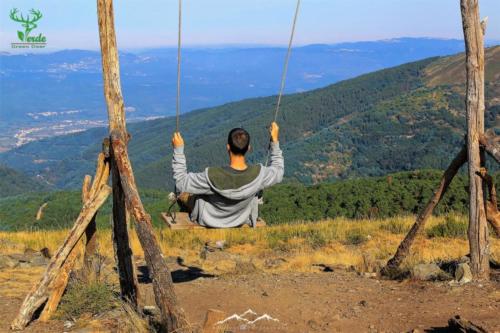 Veado Verde / Green Deer