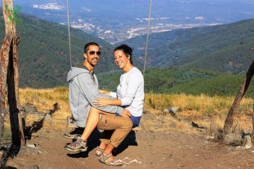 Veado Verde / Green Deer