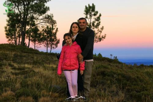 Veado Verde / Green Deer