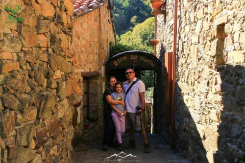 Veado Verde / Green Deer