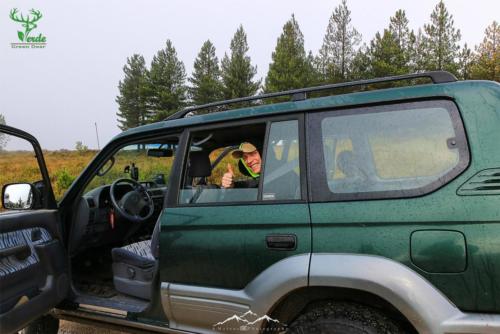 Veado Verde / Green Deer