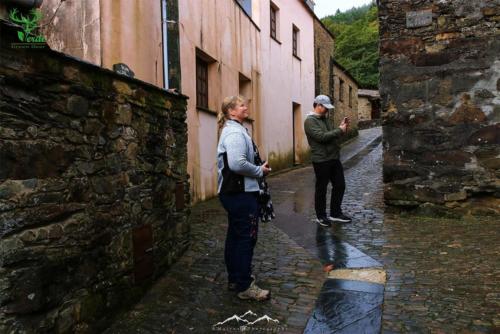 Veado Verde / Green Deer