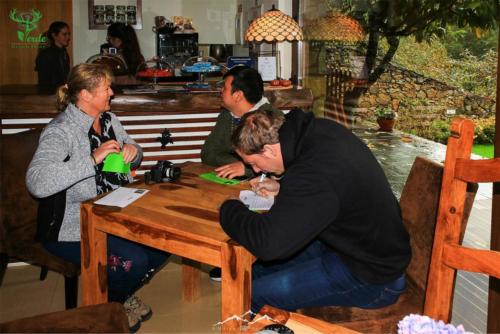 Veado Verde / Green Deer