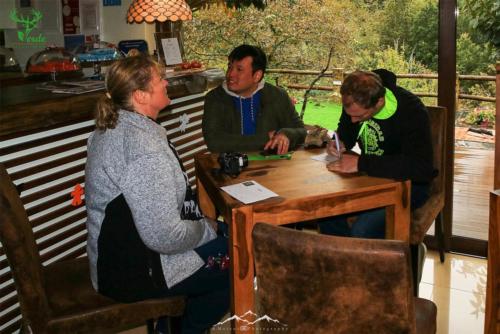 Veado Verde / Green Deer